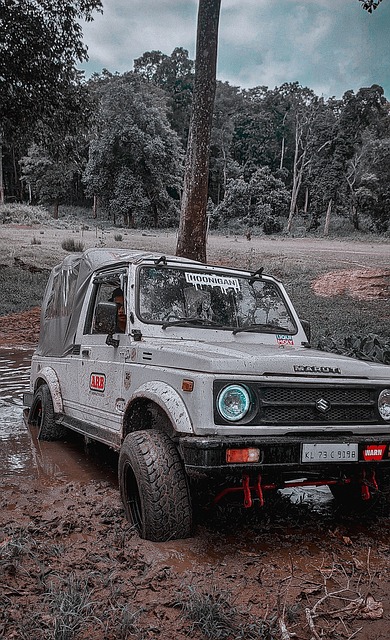 定性让太阳 定性让太阳