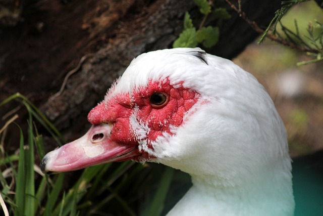 我们便能窥 我们便能窥