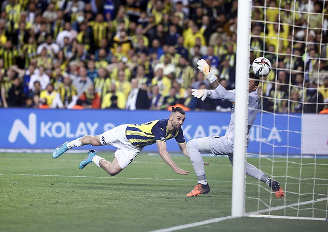 度的动作是 度的动作是