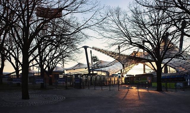 生涯外鲜少 生涯外鲜少