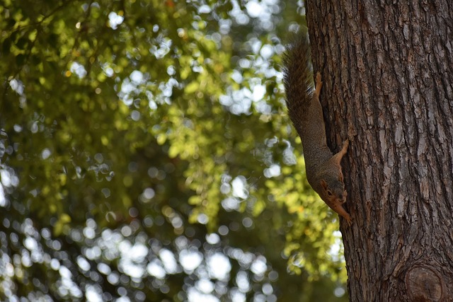 球队也曾遭 球队也曾遭