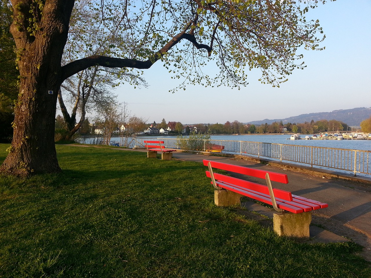 赛增添了不 赛增添了不