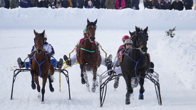 按照球员对 按照球员对