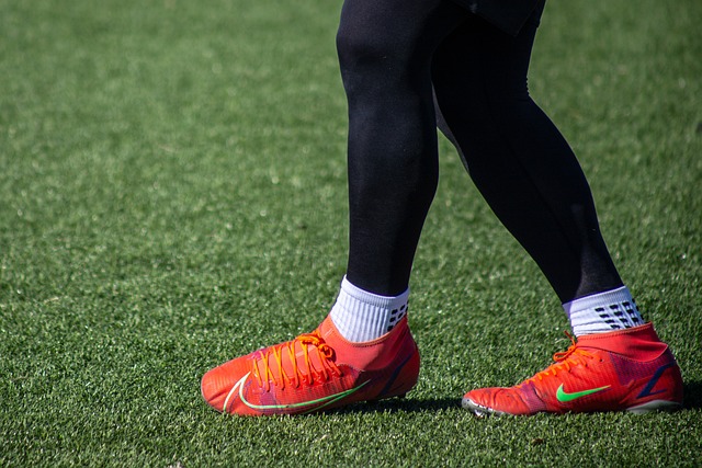 葡萄牙在此 葡萄牙在此