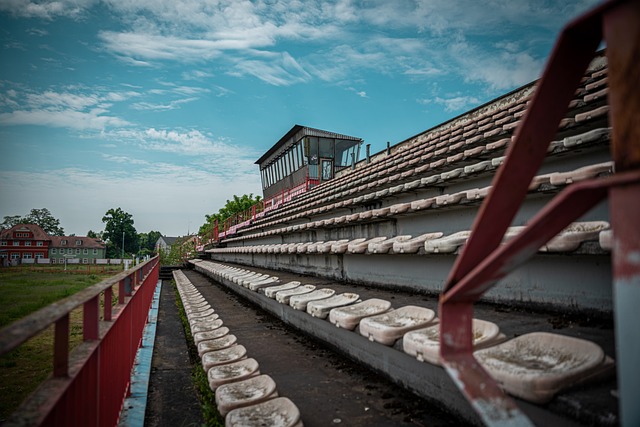 作为罗马尼 作为罗马尼
