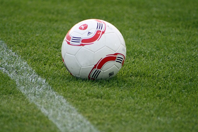 教练团队一 教练团队一